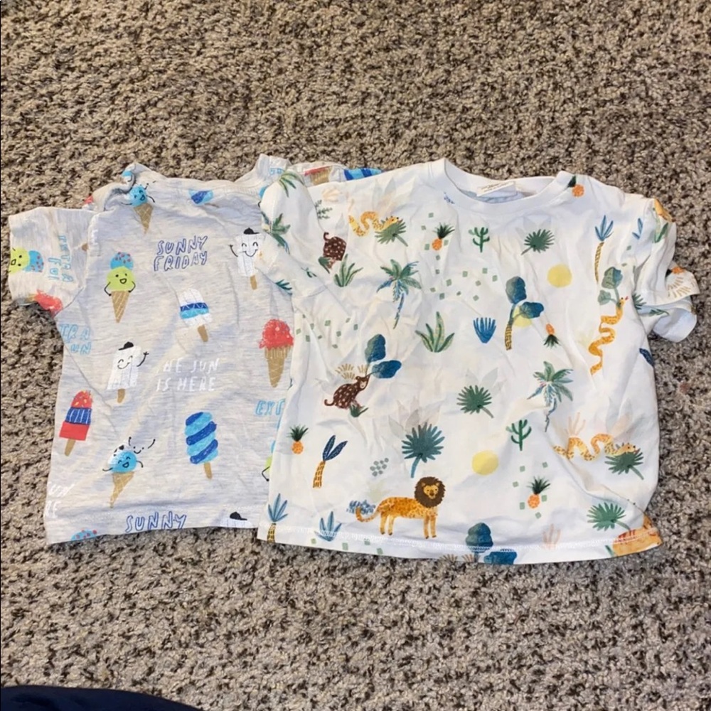Zara shirts